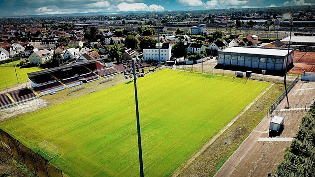 她可以更好 她可以更好