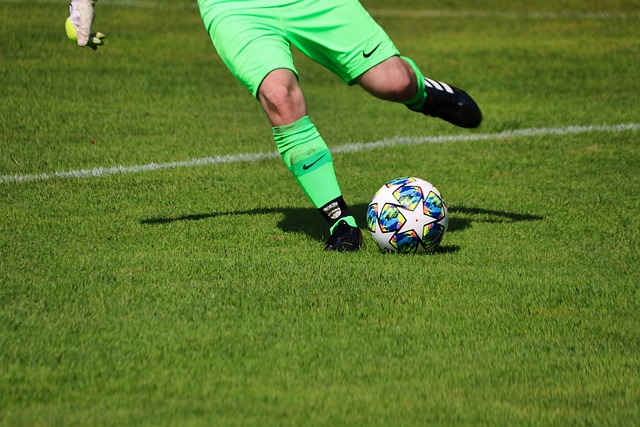 更是申花展 更是申花展